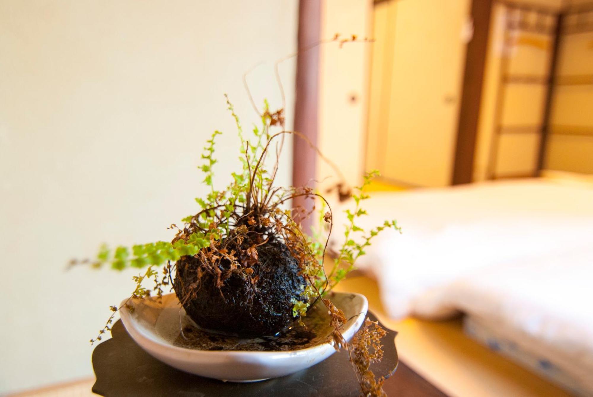 京都市 Kyo No Yado Bamboo Townヴィラ エクステリア 写真